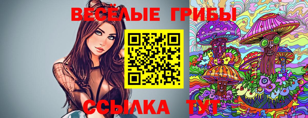 Галлюциногенные грибы мицелий Железногорск