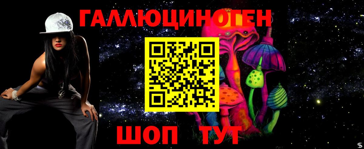 где купить   Псилоцибиновые грибы MAGIC MUSHROOMS  Вход с VPN  Железногорск 